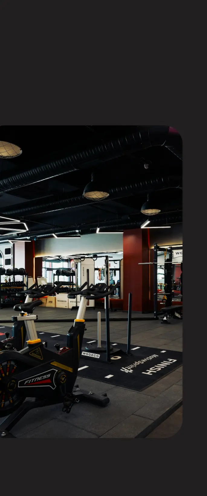 Fitmate modern fitness makineleri